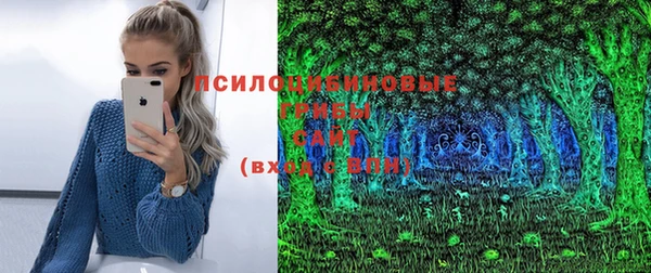 jwh Богородицк