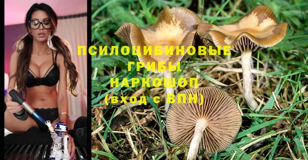 jwh Богородицк