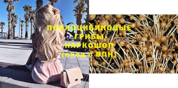 jwh Богородицк